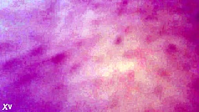 Closeup view of amateurs and wife part 2.