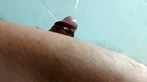 vid 20170428 011542374p2