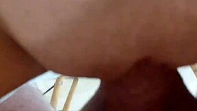 muitos creampies na buceta dela vou acabar engravidando essa puta