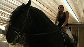 horny brunette sucks dick and takes it hard in shaved pussy!