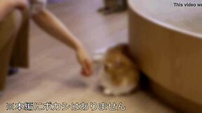 tall model beauty kaori enjoys body boldly