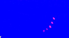 suggestive blacklight fetish with feet, toes, and footjob in dark setting.