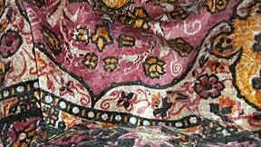 Girlfriend wakes me with cunnilingus in tent on Halloween