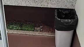 Small Cock Handjob In Public Bathroom