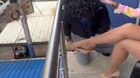 Milf's Legs in Nylon Pantyhose