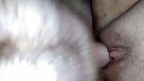 creampie pov with amateurs in intense session