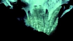 Dive Into Vintage Pornography with Intense Interracial Fucking