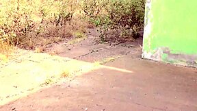 another way to enjoy my neighbor in the abandoned garage