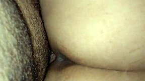 מזיין את הגוסטוזה בתענוג אינטנסיבי בתחת ובכוס