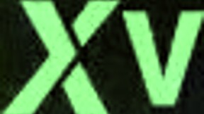 Brown Pussy Close-Up Detailed View