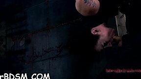 t of babes hawt assets get rough sucking and fucking in bondage