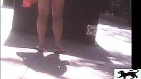 stray cat on street in voyeur view