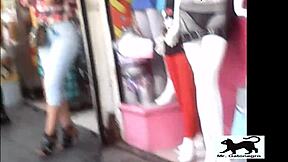 stray cat on street in voyeur view