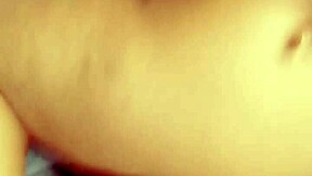 sundaydogood614 - update 674 - vid 20241210 152045 - dec 10 2024