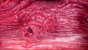 Time for breeding that wet pussy!