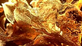 Can Vale Cortez Handle Her First BBC Anal Gape?