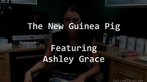 the new guinea pig alt version - alexis grace