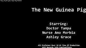 the new guinea pig alt version - alexis grace