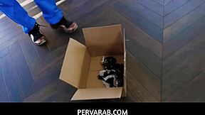 Hey, can you believe hot Muslim Maya Bijou got double cumcockted?