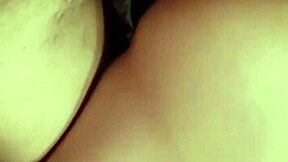 Descriptive View Of My Little Amateur