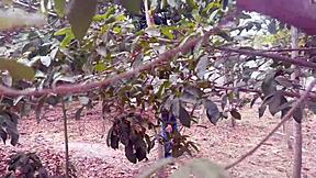 The Minutes Of Terror And Passionate Sex