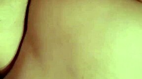 Descriptive View Of My Little Amateur