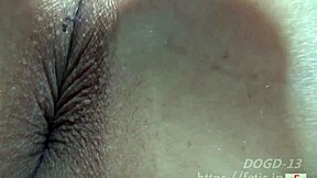 Aya's anal fetish with dog sniffing! So erotic!