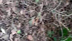 Licking pussy in woods till orgasm - lesbian