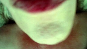 Ross fucks big booty mature in silky panties