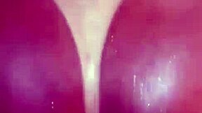 Intense home sex with latina ebony licking