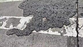 I stroll with collared women in Sao Paulo