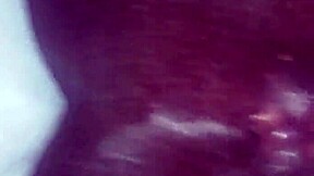 Jamaican BBC Pounds Miami Haitian Pussy and Asshole Hard