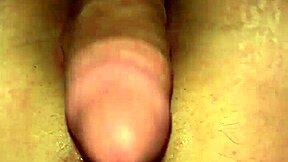 suggestive way to fuck that tight pussy with a hard cock