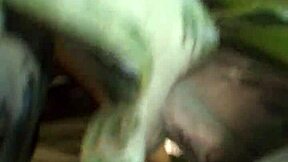 Watch this ebony ass folding in a hidden shop voyeur scene