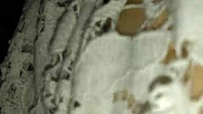 my ex girlfriend in stockings gets fucked by monster cock at home