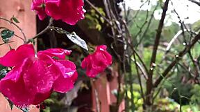 Latina deler kjæresten med venn