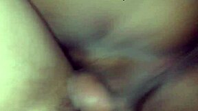 बुल की बीबीसी हैंडल करती है, क्रीमपाई और क्लीनअप से पहले