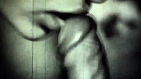 The collection showcased vintage erotic art from antique periods with retro charm