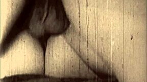 The collection showcased vintage erotic art from antique periods with retro charm