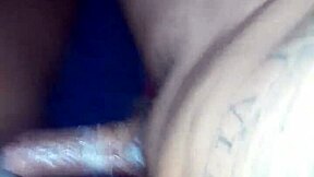 Cub challenges cougar with big black cock