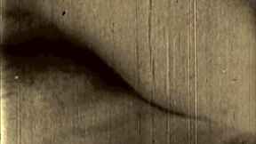 The collection showcased vintage erotic art from antique periods with retro charm