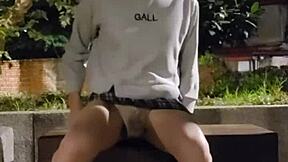 Shemale Ting Xuan Outdoors Peeing And Takes Off Her Underwear For Masturbates In The Park