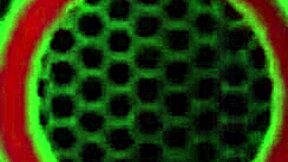 Bobbi Eden's Intense Cunnilingus Orgasm