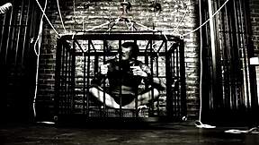 Brooke Scott's beauty makes my cock stand for blowjob