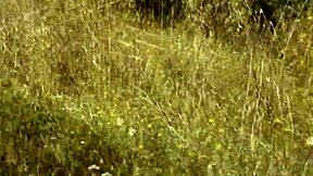 pervert jerks off to naked blonde on nudist beach