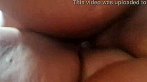 licking the chubby girl's tits and cock?