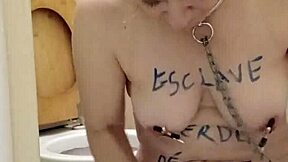 french housewife flashes and slaps in toilet humiliation