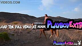 petite big boobed redhead beauty odette fox says, 'check out my pussy on horseback'