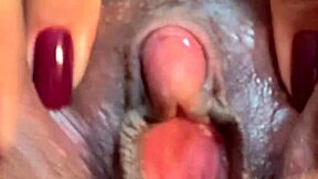 corno filmed everything and came red rose