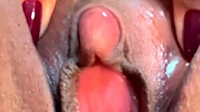 corno filmed everything and came red rose